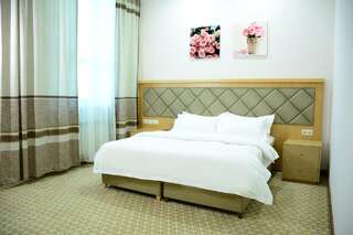 Отель Hotel Arai Plaza Тараз Двухместный номер Делюкс с 1 кроватью-1