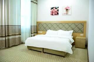 Отель Hotel Arai Plaza Тараз Двухместный номер Делюкс с 1 кроватью-2
